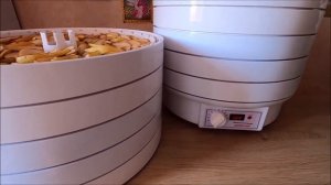 Электросушилка ВОЛЬТЕРА 1000-ЛЮКС. Обзор сушилки. Заготовка сушеных фруктов.