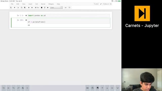 Working with Jupyter Notebooks on iPad using Carnets for iOS! | iOS App Review смотреть онлайн