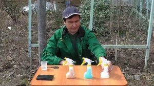 Лучшее средство от мха и лишайников на деревьях. Тестируем лично