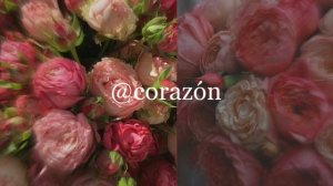 От опухолей | Саблиминал | corazón