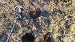 Поле находок. коп монет. нокта легенд. nokta makro Legend. поиск с металлоискателем.