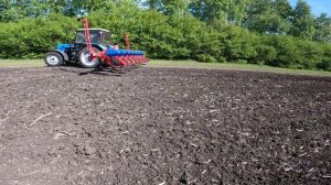 ТЕХНИКА СЕРВИС ДЕЛАЕТ ВЕЩИ?  ТСМ-4150А l ПОСЕВ КУКУРУЗЫ