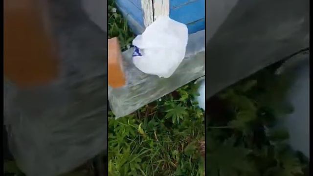 Купили дачу . Обзор. смотреть онлайн