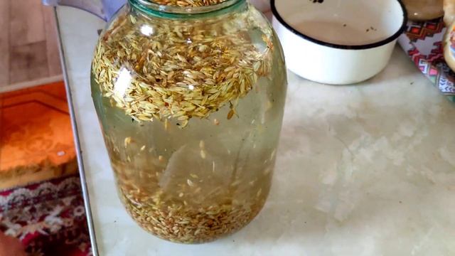 Веганские Рецепты