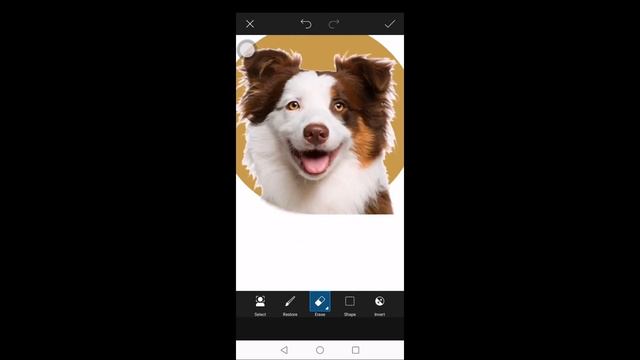 how to vector art your animal with PICSART смотреть онлайн