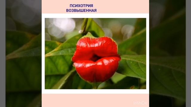 Тайны природы... смотреть онлайн