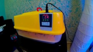 Калибровка температуры в инкубаторе Janoel-42.