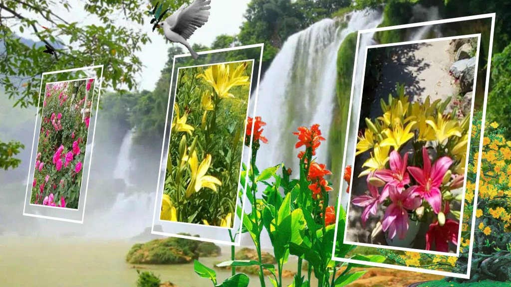 ТАНЕЦ ЦВЕТОВ МОЕГО ЛЕТНЕГО САДА.mp4