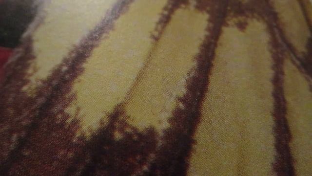 Развивающие игры.Ребусы.Developing igry.Rebusy смотреть онлайн