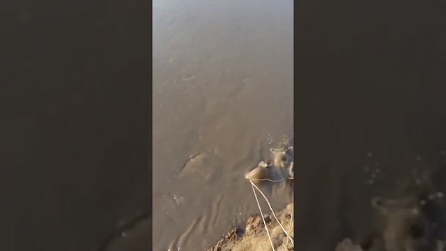 Красный мост Сослан Окунчаев смотреть онлайн