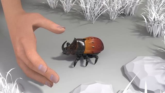 РОБОТ ЖУК-НОСОРОГ смотреть онлайн