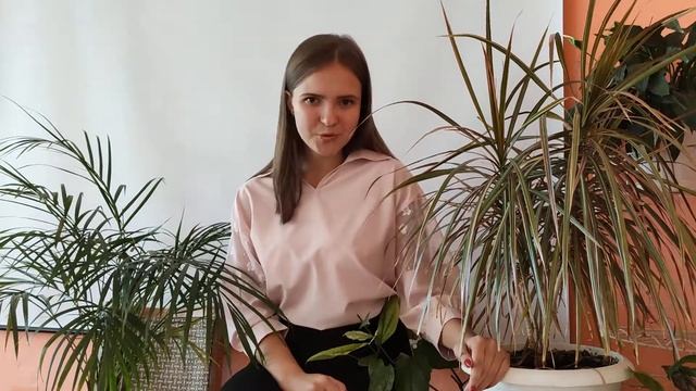 Басня_"Свинья под дубом" автор И. А. Крылов_Сапогова Юлия Сергеевна смотреть онлайн