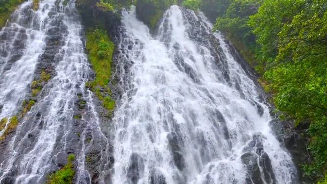 ジムニーと車中泊で北海道一周６日目〜神の子池から知床五湖と知床峠で熊に遭遇 смотреть онлайн