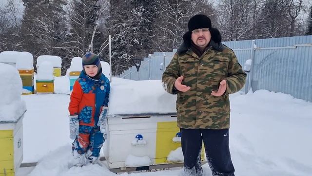 ? Как улей лежак облегчает работу начинающему пчеловоду по чистке летков от подмора ? смотреть онлайн