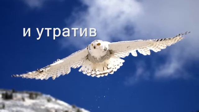 Сатори. Ирина Нодзоми смотреть онлайн