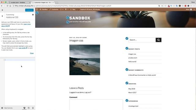 Crear Zoom en Imágenes con CSS al pasar el ratón (Hover) en WordPress смотреть онлайн