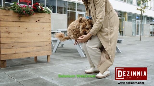 Session 11: Cucumber 'name' Option | Cucumber BDD with Java and Selenium WebDriver смотреть онлайн