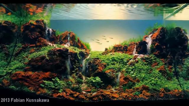 Самые красивые Акваскейпы смотреть онлайн