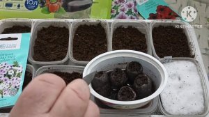 Сибирь. Открываю посевной сезон! Сеем Петунию разными способами. Газания, Остеоспермум, Дихондра.