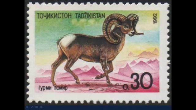 Tajikistan, Таджикистан, Точикистон