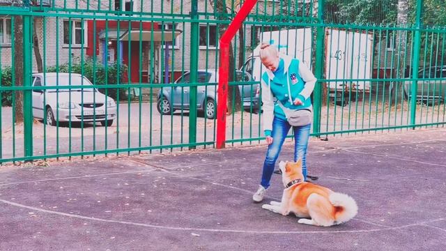 Танцы с собаками. Сапелкина Яна и акита Уцури Нэрис (Ури) смотреть онлайн