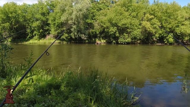 Спасли Цаплю из плена на рыбалке много рыбы Крупный Окунь Голавль Щука смотреть онлайн