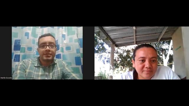 Present perfect worksheet (DILE) смотреть онлайн