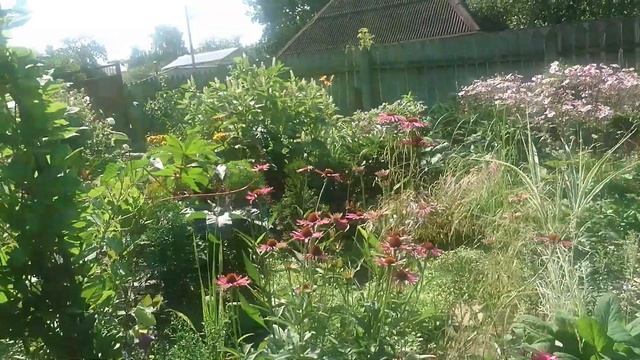 ГОСТИ Ч-2 Интересные ЦУ по саду от Елены Дмитриевой смотреть онлайн