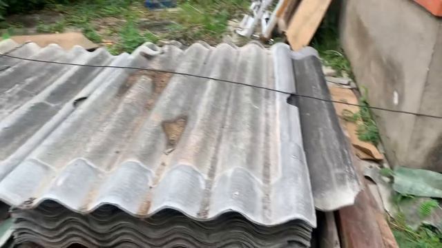 Шпиц Мишель гоняет кота смотреть онлайн
