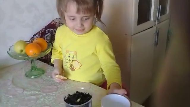 сажаем мандариновое дерево смотреть онлайн