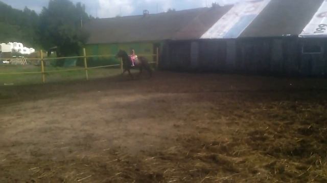 Конный клуб "Дух свободы" - индивидуальные занятия смотреть онлайн