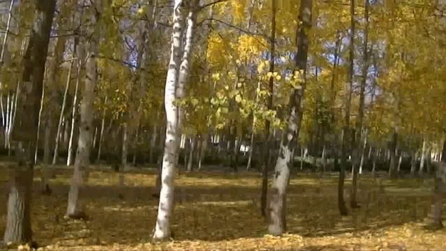 Закрытие сезона г.Стрежевой 2012 смотреть онлайн