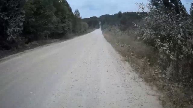 В поисках старой дачи смотреть онлайн