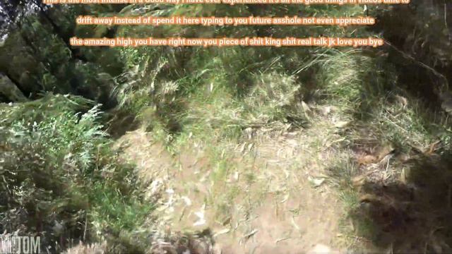 Random notes I took on Acid. смотреть онлайн