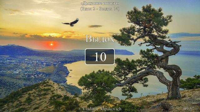 Дыхание сокола (вдох 2 сек., выдох 14 сек.)