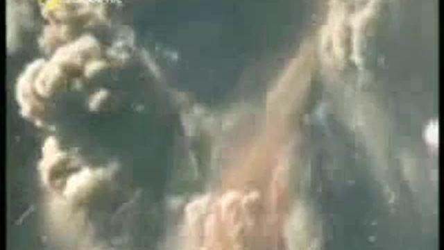 Дикий сентябрь 9,11 смотреть онлайн