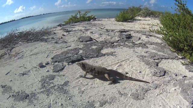 Путешествия Островитян. Остров Куба - назад в СССР смотреть онлайн