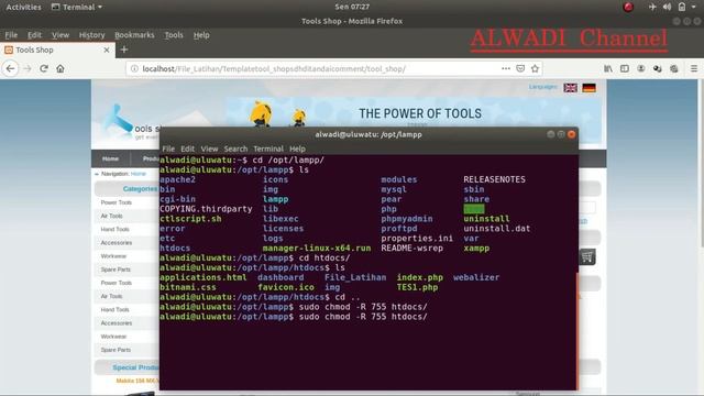 HTDOCS XAMPP | UBUNTU 18.04 смотреть онлайн