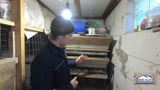 Мускусный Селезень.Индоутки на Автономной ферме смотреть онлайн