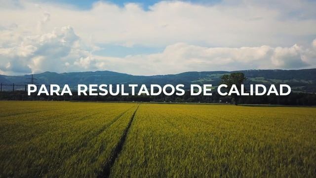 COMECA STIHL - STIHL FS 450 смотреть онлайн