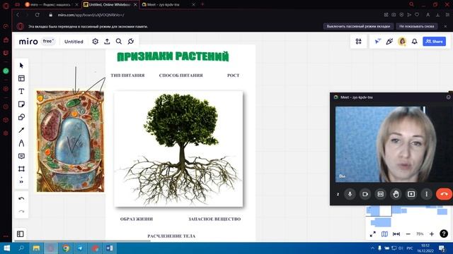 Растения, животные, Грибы смотреть онлайн
