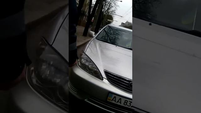 Борзота Запорожья смотреть онлайн