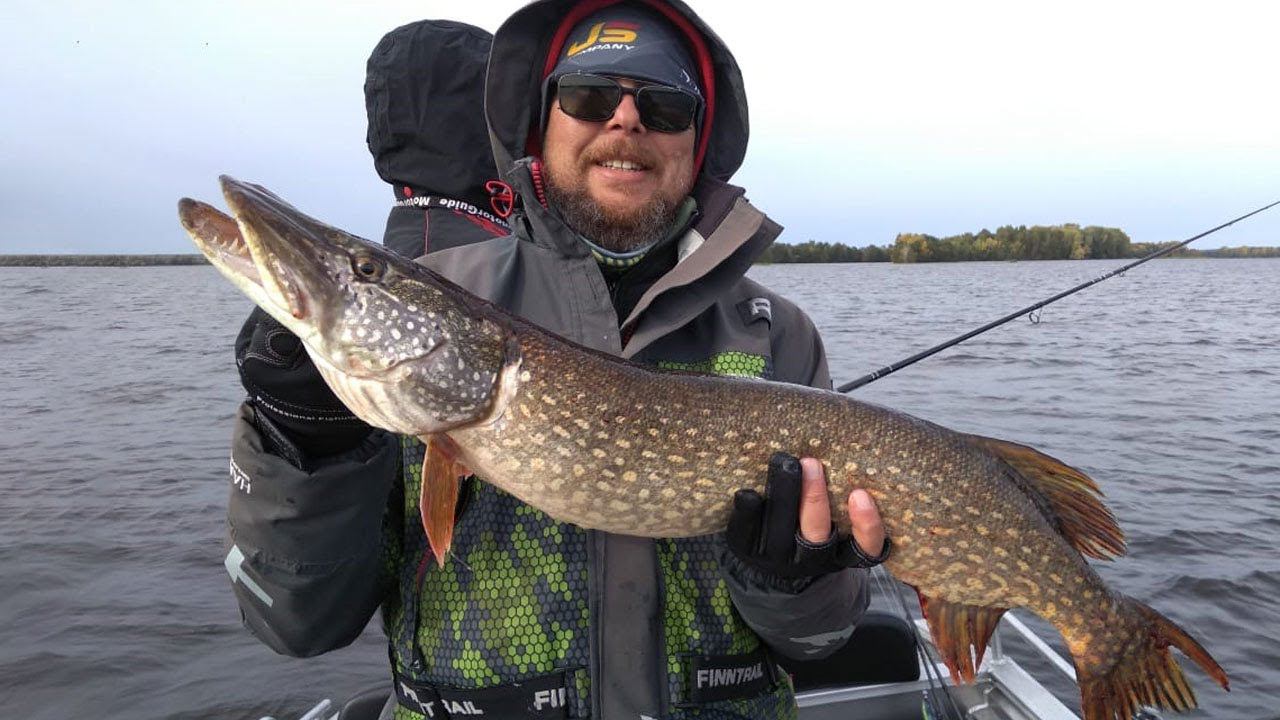 Хорошая ЩУКА на лягушку. Разловил крупную резину смотреть онлайн