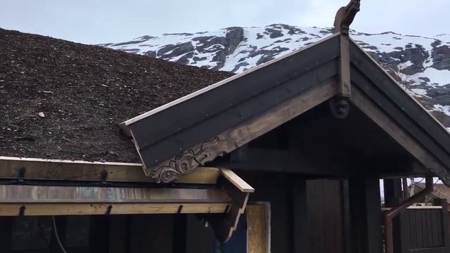 Газон на скатной крыше в Норвегии. Показывает Сергей Домогацкий смотреть онлайн