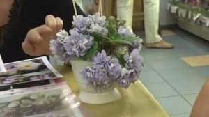 ДФиалки. Е.Лебецкая: селекция 2015