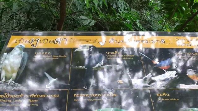 Ко мае ко.Остров матери.Орхидеи и соленое озеро.Таиланд.