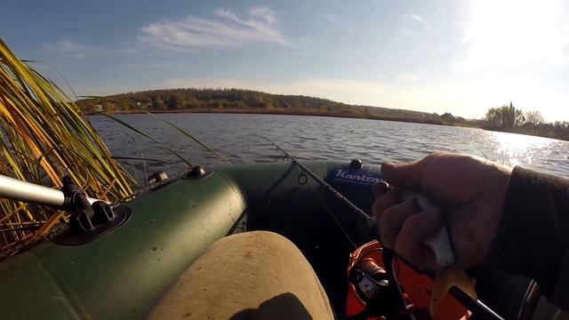 Ловля ПЛОТВЫ с лодки ОСЕНЬЮ смотреть онлайн