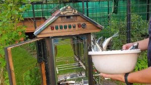 Много скумбрии горячего копчения. Коптильни ИП Федотов А. В.