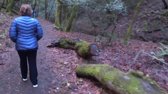 Hidden Villa - парк, тропы, козочки и курочки в центре Кремниевой Долины смотреть онлайн