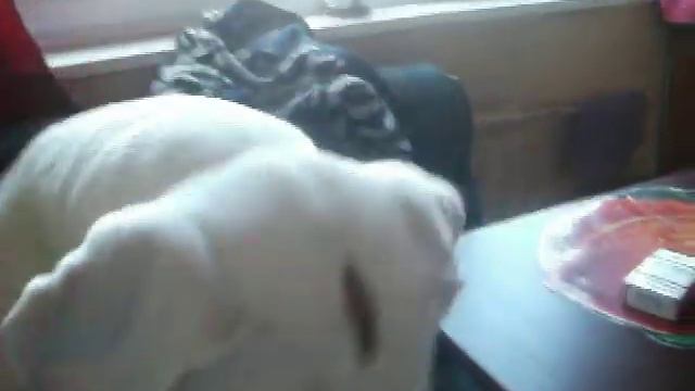 Гай 5,5 месяцев смотреть онлайн